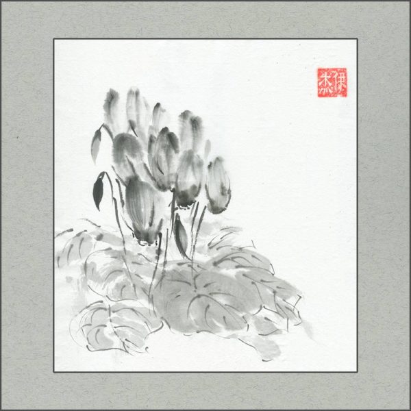 r1501-003f-cyclamen-s