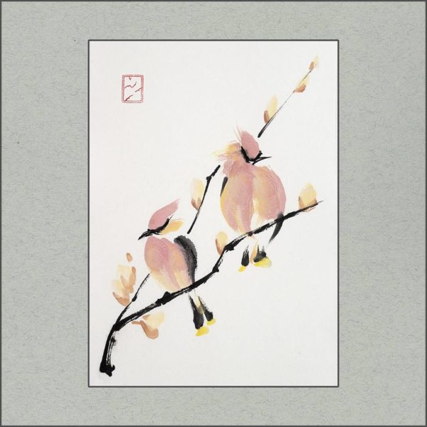 r1802-027f-waxwings-s