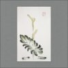 r1802-034f-calla-s