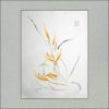 r1807-004f-encircled-strelitzia-s