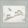 r1901-037f-three-frogs-dont-mind-the-dragonfly-s