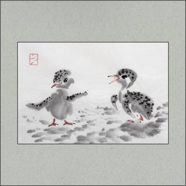 r1906-001f-spotty-chicks-and-pebbles-s