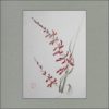 r2103-026f-red-orchids-s