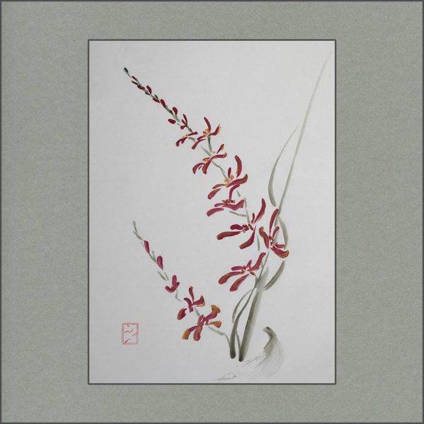 r2103-026f-red-orchids-s