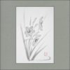 r2105-002f-narcissus-s