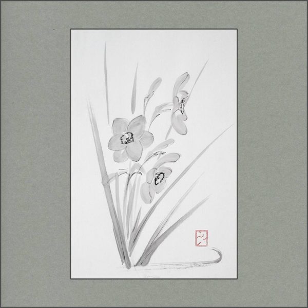 r2105-002f-narcissus-s