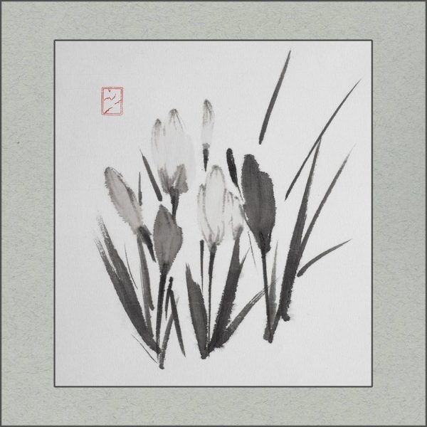 r2107-001f-crocuses-s