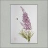 r2107-006f-willow-herb-s