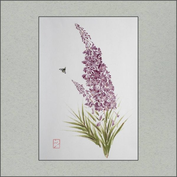 r2107-006f-willow-herb-s