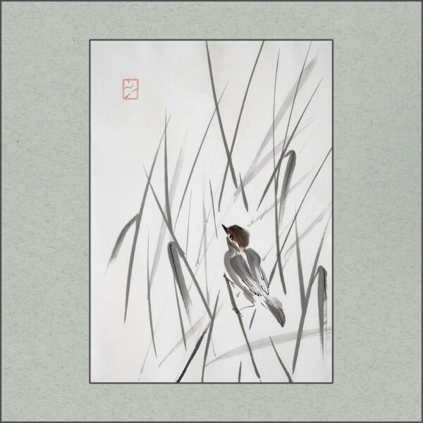 r2307-008-in-the-grass-s