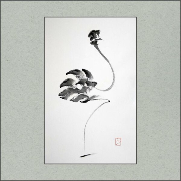 r2307-012-simple-ostrich-s
