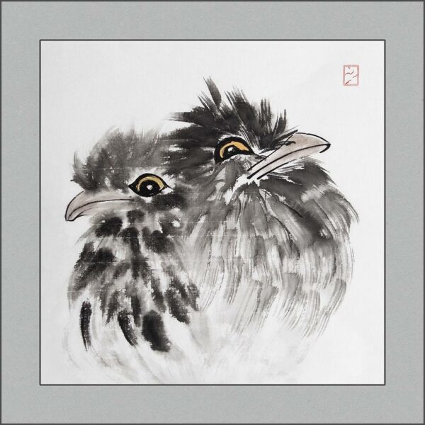 r2409-002-kookaburras-s