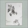 r2411-002-what-r-u-(aqua-version)-s