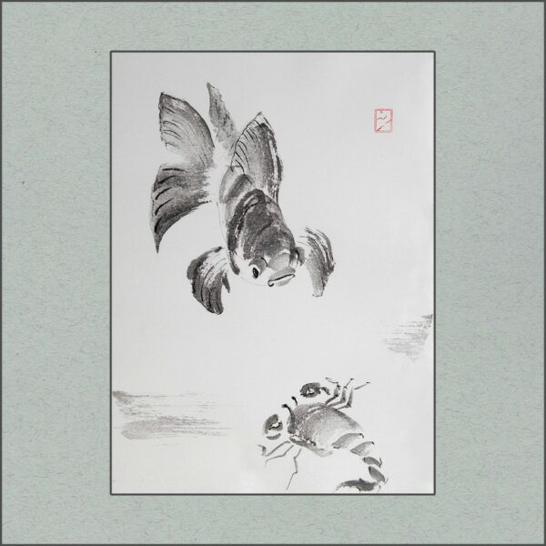 r2411-002-what-r-u-(aqua-version)-s