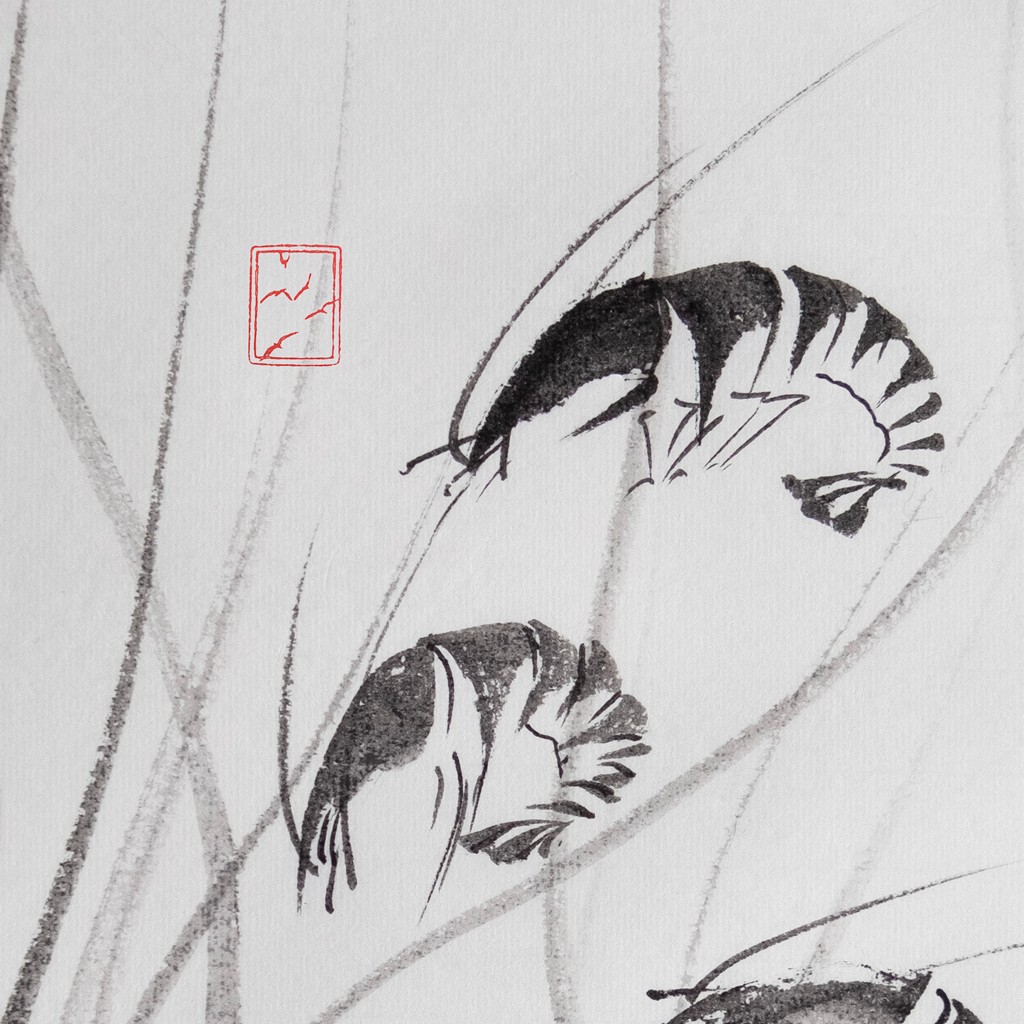 r2411-005-shrimps-cr-s