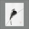 r2501-010-pompous-draft-s