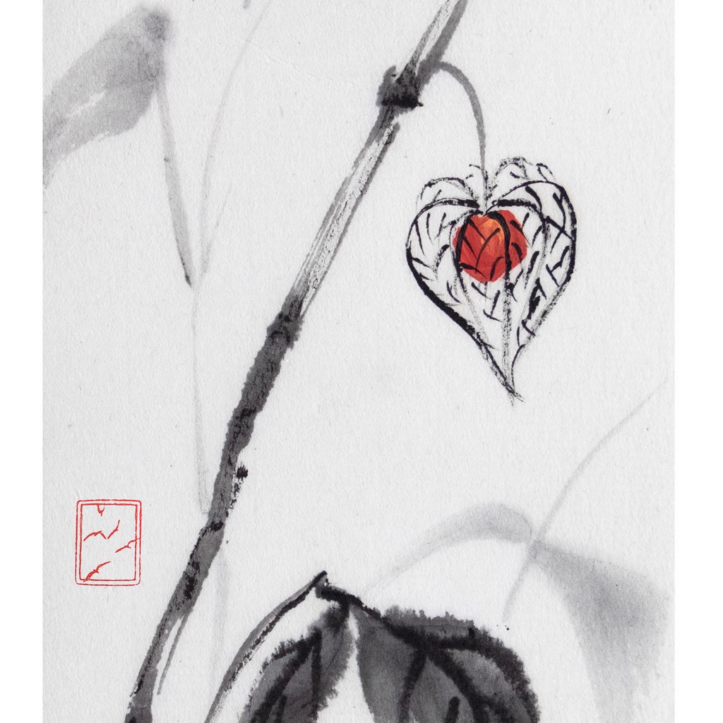 r2501-012-physalis-cr-s