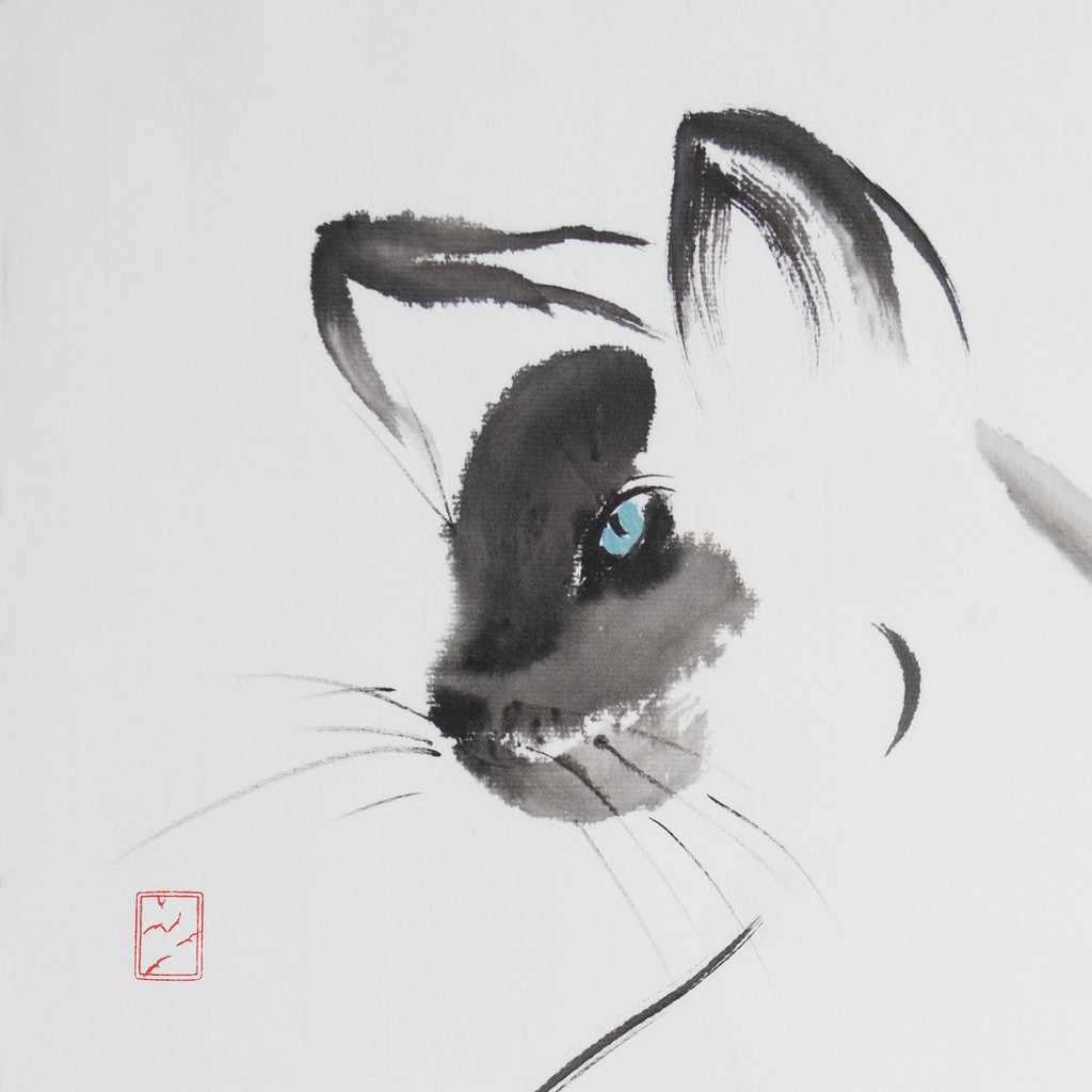 r2507-007-blue-eyed-cat-cr-s