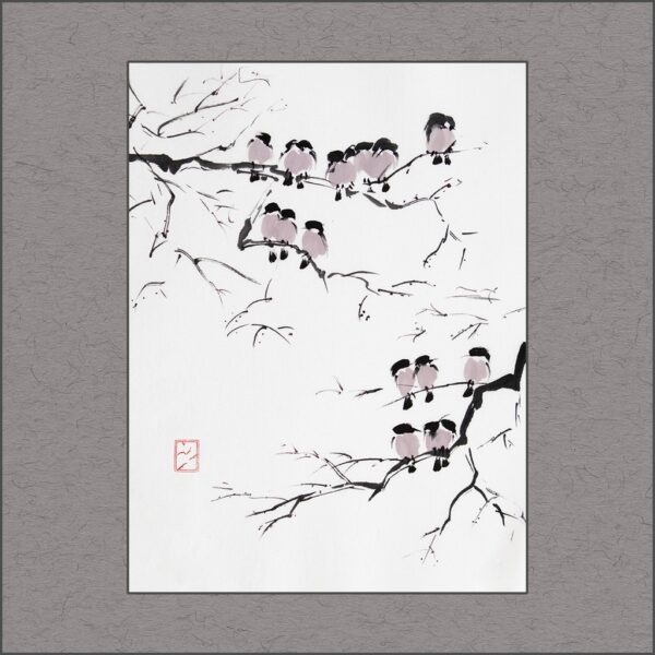 r2601-004-february-sonata-s
