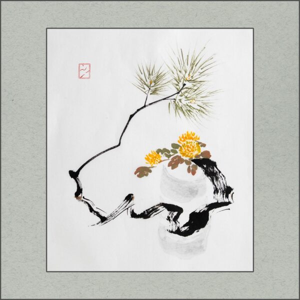 r2601-005-pine-and-mum-s r2601-005-pine-and-mum-s
