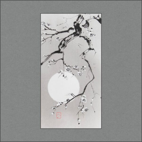 r2601-006-moon-and-white-sakura-s