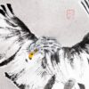 r2603-009-eagle-and-squirell-cr2-s